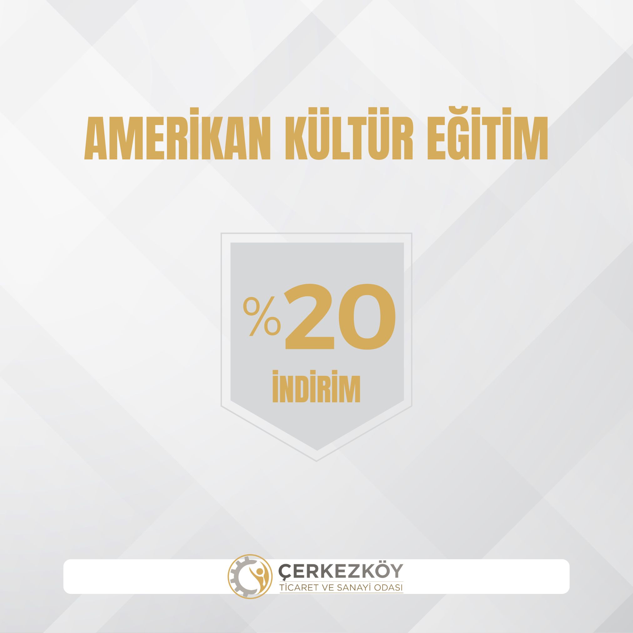 Amerikan Kültür Eğitim